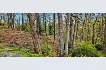 100 Hampton Drive, Fredericksburg, VA 22405 - Photo 2