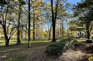 317 Coles Point Rd, Hague, VA 22469 - Photo 108