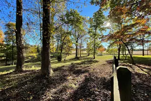 317 Coles Point Rd, Hague, VA 22469 - Photo 106