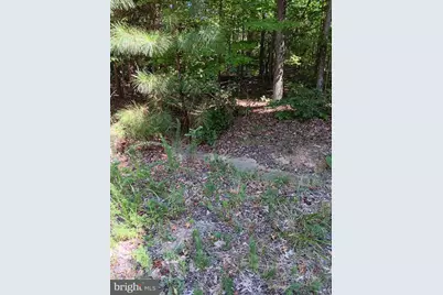 Kings Court, Montross, VA 22520 - Photo 2