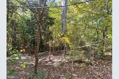 Lot 110 Bishop Drive, Montross, VA 22520 - Photo 8