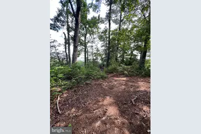 Tbd Lot 111 South Glebe Road, Montross, VA 22520 - Photo 62