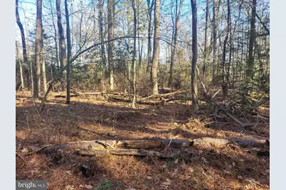 Lot 13 Holiday Lane, Hague, VA 22469 - Photo 2