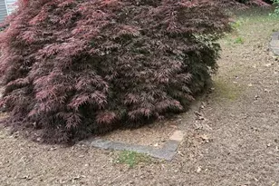 256 Pierce Crk Lndg, Montross, VA 22520 - Photo 26