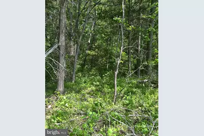 Lot 1A Kings Hwy, Montross, VA 22520 - Photo 8