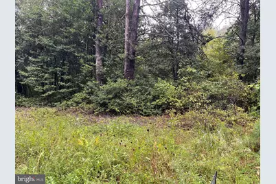 Lot 20 Chrystal Rd., Colonial Beach, VA 22443 - Photo 4