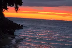 316 Plantation Dr, Montross, VA 22520 - Photo 6