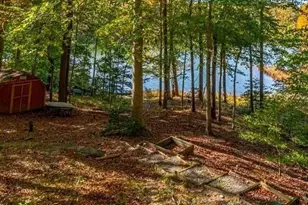 316 Plantation Dr, Montross, VA 22520 - Photo 46