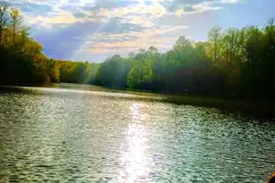 316 Plantation Dr, Montross, VA 22520 - Photo 26