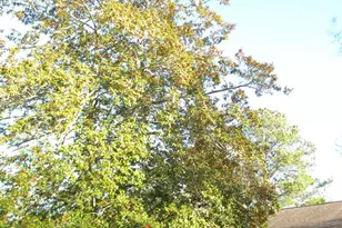 128 11th St, Colonial Beach, VA 22443 - Photo 76