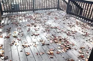 66 Lands End Dr, Montross, VA 22520 - Photo 10