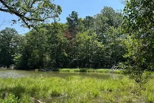 Tbd Lot 28 South Glebe Rd, Montross, VA 22520 - Photo 20