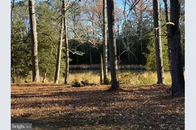 Tbd Lot 28 South Glebe Rd, Montross, VA 22520 - Photo 12