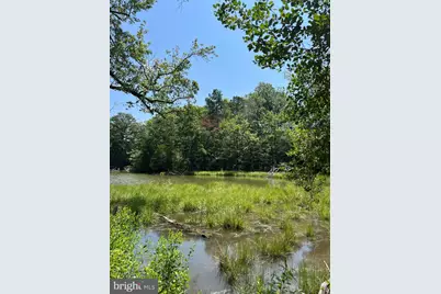 Tbd Lot 28 South Glebe Rd, Montross, VA 22520 - Photo 16