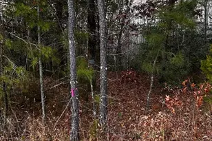 0 Pratts Pl, Montross, VA 22520 - Photo 1