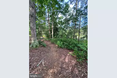 Tbd Lot 121 Currioman Drive, Montross, VA 22520 - Photo 52