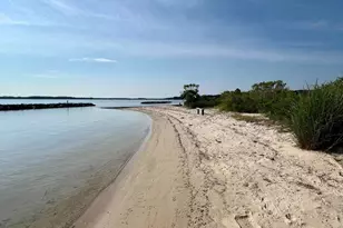 Tbd Lot 121 Currioman Dr, Montross, VA 22520 - Photo 44