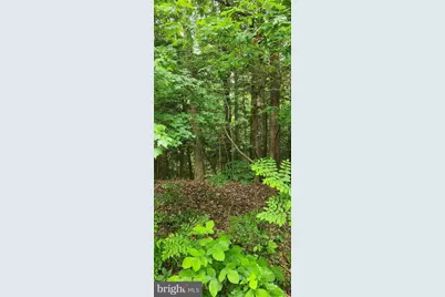 Lot 68 Traveler's Circle, Montross, VA 22520 - Photo 1