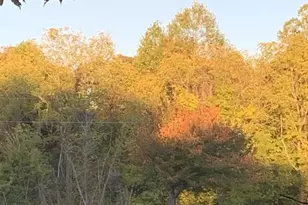 30 Ironwood, Montross, VA 22520 - Photo 42