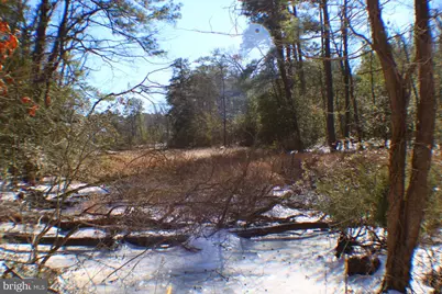 00 S Tidwells Road, Montross, VA 22520 - Photo 4