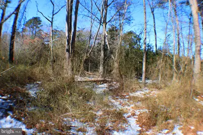 00 S Tidwells Road, Montross, VA 22520 - Photo 6