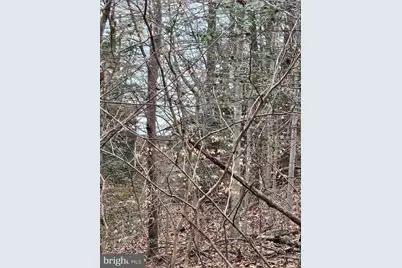 Lot 11 Greenpoint Landing Road, Montross, VA 22520 - Photo 2