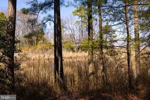 198 Canoe Pl, Montross, VA 22520 - Photo 80