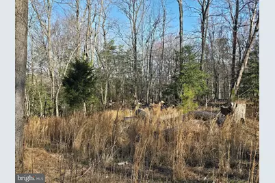 Lot #97 Angler Lane, Montross, VA 22520 - Photo 1