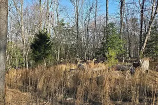 Lot #97 Angler Ln, Montross, VA 22520 - Photo 1