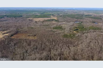 Trigger Lane, Colonial Beach, VA 22443 - Photo 8