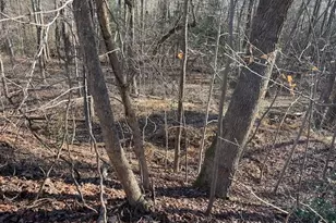 Lot 6 Bald Eagle Dr, Montross, VA 22520 - Photo 1