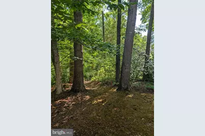 4631 Nomini Hall Road, Hague, VA 22469 - Photo 56