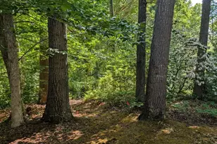 4631 Nomini Hall Rd, Hague, VA 22469 - Photo 56