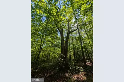 4631 Nomini Hall Road, Hague, VA 22469 - Photo 58