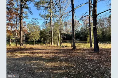 392 South Glebe Road, Montross, VA 22520 - Photo 8