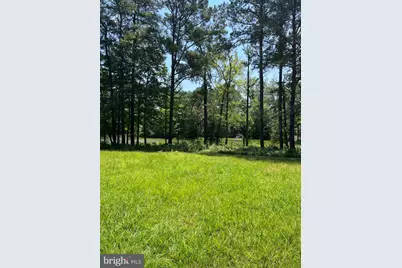 392 South Glebe Road, Montross, VA 22520 - Photo 18