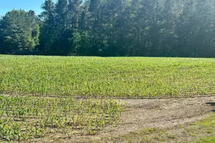 4129 Stratford Hall Rd, Montross, VA 22520 - Photo 6