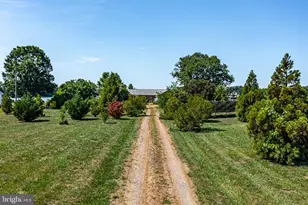 244 Cherry Orchard Ln, Montross, VA 22520 - Photo 76