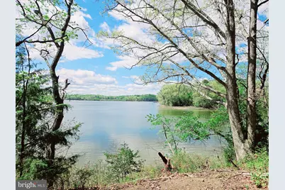 Lot 5 Zacata Road, Montross, VA 22520 - Photo 6