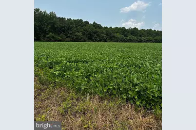 Tax Id 36 19 Zacata Road, Montross, VA 22520 - Photo 2