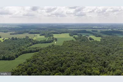 Lot 53-82 Jerusalem Church Road, Hague, VA 22469 - Photo 20