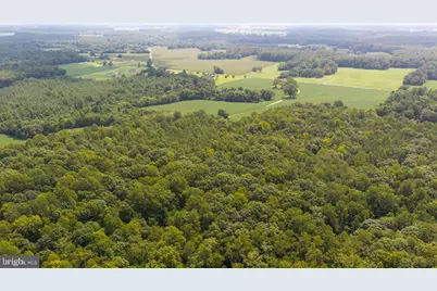 3240 Jerusalem Church Road, Hague, VA 22469 - Photo 22