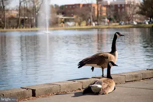216 Wood Ave, Winchester, VA 22601 - Photo 22