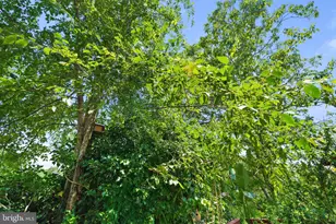 720 S Kent St, Winchester, VA 22601 - Photo 98