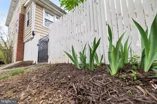 707 E Cork St, Winchester, VA 22601 - Photo 46