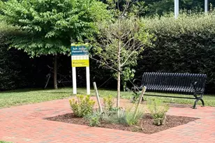 317 S Kent St, Winchester, VA 22601 - Photo 18