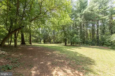 517 Merrimans Lane, Winchester, VA 22601 - Photo 70