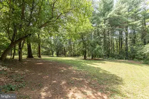 517 Merrimans Ln, Winchester, VA 22601 - Photo 70