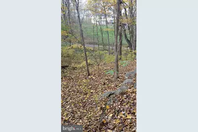 Pin Oak Road, Front Royal, VA 22630 - Photo 4