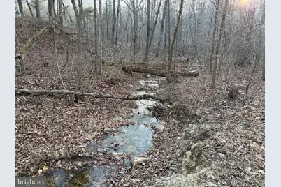 Lot 90A,91A,129,130,131 Vesey Drive, Front Royal, VA 22630 - Photo 2